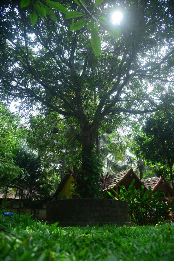 Savithri Inn Cottage Varkala Exterior photo