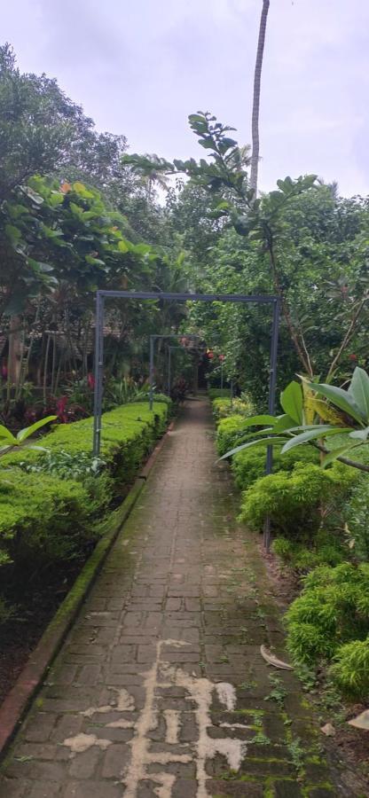 Savithri Inn Cottage Varkala Exterior photo